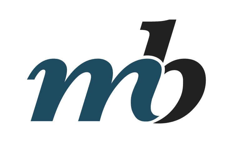 moos-Bjerre logo lav tillid borgerperspektiv vælgeradfærd